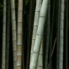 小vie - 寻