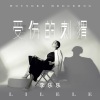 李乐乐 - 受伤的刺猬