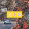 大乔 - 交换余生 (游戏版)