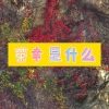 大乔 - 买它 (游戏版)