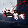 伦桑 - 你看,一剪梅