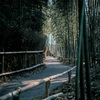 小vie - 煮茶论剑