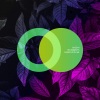 Haze-M、Helen&Boys - Dance with Me (Haze-MVocalMix)