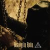 rich davis - Beauty in Ruin