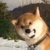 Tik - 爱情悬崖