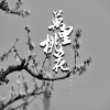 歌者飘雪 - 万里桃花 (伴奏)