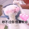 筱檬、悦辰 - 落日飞行