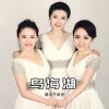 黑鸭子演唱组 - 乌海湖