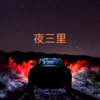 DJ梦岚、书辰 - 伤心的酒别喝太醉