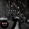 苏天伦 - 我不曾爱过你 (DJ版)