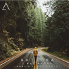 Rami、Jiinio、A R I Z O N A - I Was Wrong (完整版|RAMI x Jiinio Remix)