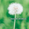 李亦轩、可乐、小特 - 不摇头你寻思啥 (DJ版)