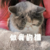 远方 - 送情郎