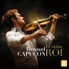 mahler chamber orchestra、Daniel Harding、Renaud Capuçon - I. Allegro molto appassionato