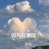 尹安 - 火花 (DJ版)