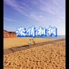 笙笙 - 走心的人 (Clean)