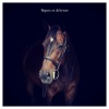 Bruit De La Nature、Musique Japonaise Ensemble、Spa Musique Massage - Morning Music (Sounds of the Country Side)