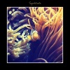 Study Music Library、Study Time、Focus & Work - Delightful Endings