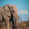 Música De Relajación Para Dormir Profundamente、Música Zen Relaxante、Relajación Natural Maestro - White Clouds