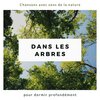 Musique de Fond École Nature - Dans les arbres