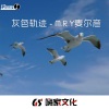 M.R.Y麦尔彦 - 灰色轨迹 (DJ版)