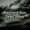 Baby Rain、Rain Sounds for Sleep、Sleepy Rain - Relaxing Rain Anti Stress Noise for Trouble Sleeping