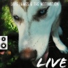 The Motivation、Jake James - Live