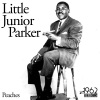 little junior parker《Bad Women, Bad Whiskey (Original Mix)》[MP3/LRC]