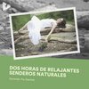 Dormida: Por Daniela - Avid Dormir Addict