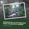 Dormida: Por Daniela - Sueños de la Naturaleza