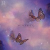새벽공방 (SBGB) - BUTTERFLY