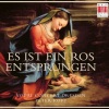 Peter Kopp、Vocal Concert Dresden - Es ist ein Ros' entsprungen