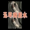 大乔 - 你的配角 (摇摆版)
