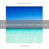 Nature Songs Nature Music、The Forest Escape《Claming Sounds Of Waves And Woods For Delicious Nap》[MP3/LRC]