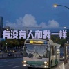 天兰 - 树读 (热闹版)
