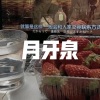 天兰 - 制胜无限速 (热闹版)