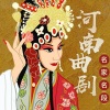 河南戏曲迷 - 曲剧选段-马凤琴-二进宫-出离了皇宫我泪浇流