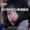 明夏 - 2020车载不变的音乐DJ串烧 (DJ明夏)