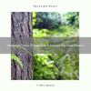 Nature Sounds And Whispers、Aquagirl - Advanced Tunes Of Nature And Animals For Good Dreams