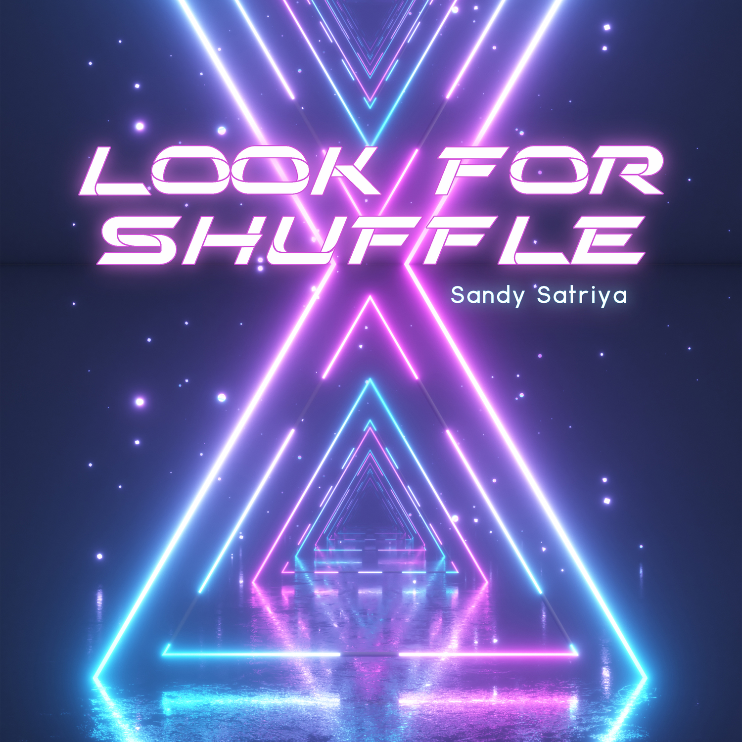Sandy Satriya - Look for Shuffle