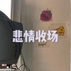 野猫传奇 - 第一个清晨
