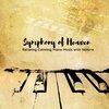 Piano Instrumental Academy - Symphony of Heaven