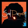 soul purpose《Soul Purpose》[MP3/LRC]