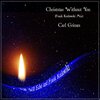 Will Echo、Carl Grimes、Frank Kozlowski - Christmas Without You (Frank Kozlowski Mix)