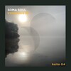 Soma Soul - Symbiosis (Original Mix)