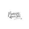Drew Miller - Promises Never Fail