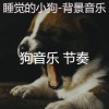 狗音乐 节奏 - 幼犬 (背景音乐)