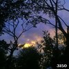 Millizent Salazar、millie - 3150 (Demo)
