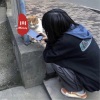 辰先生CHENYIN、朵爷、圈妹、小奶瓶 - 气氛上头旋律 (DJ版)