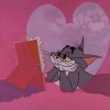 若比 - Don't dream it's over